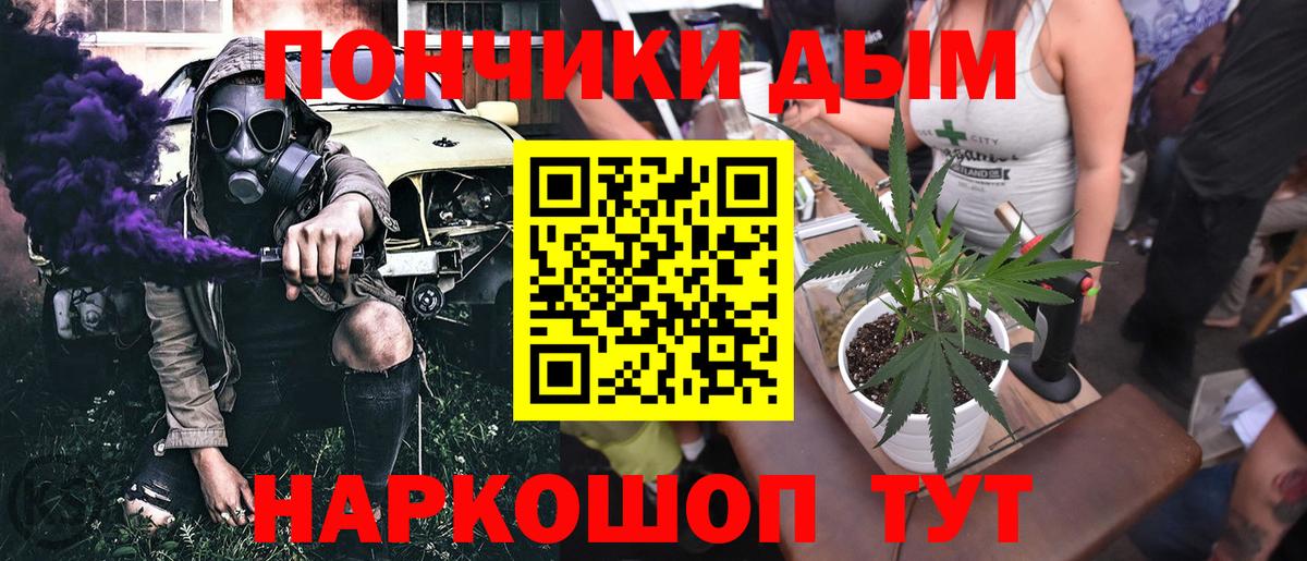 Бошки Шишки планчик Борзя